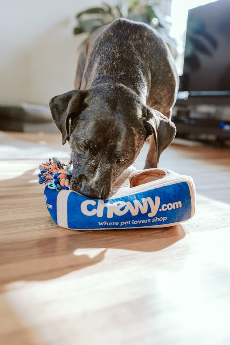 Groomer working carefully with a relaxed dog at a Comb & Collar grooming station