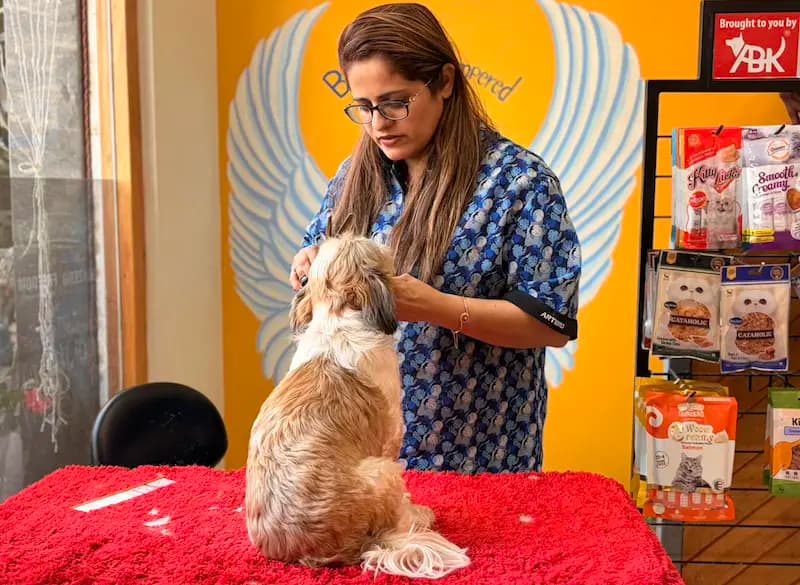 Priya Bhatia, Founder and Head Groomer at Comb & Collar, caring for a pet during grooming