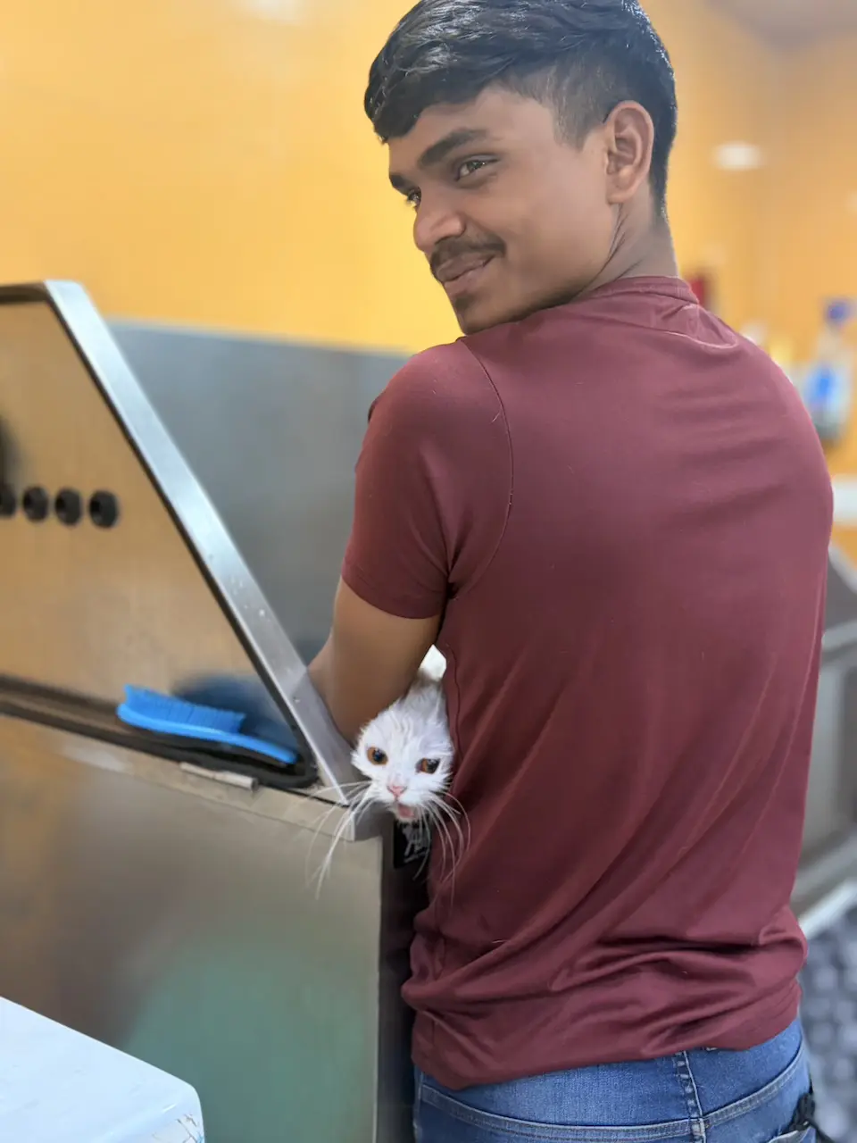 Madan, Boarding Care Specialist at Comb & Collar, caring for a boarding guest